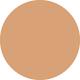 Buff Vanish Seamless Finish Foundation Stick 