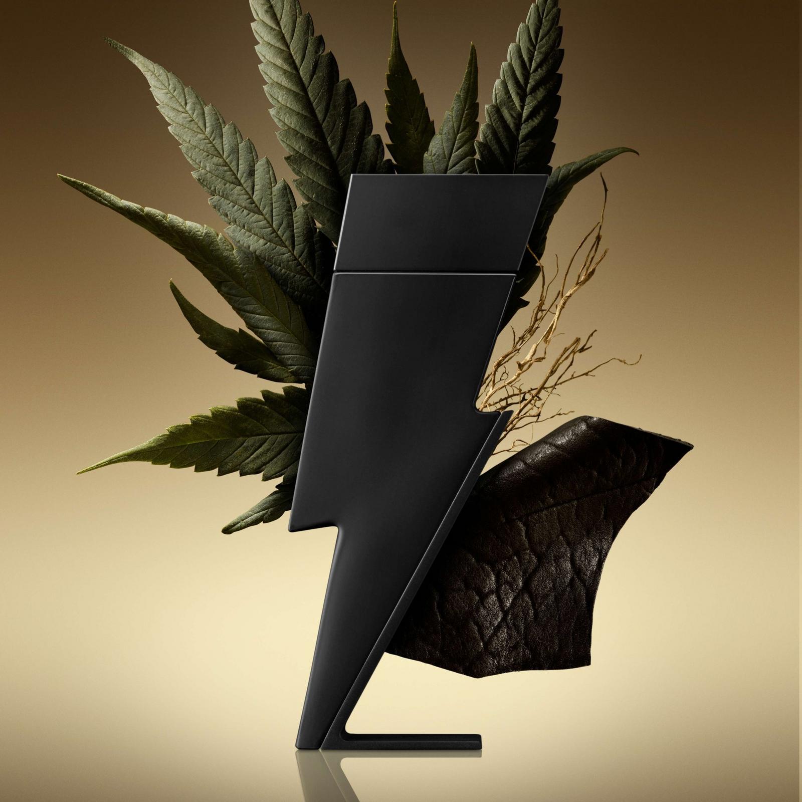 Bad Boy Le Parfum