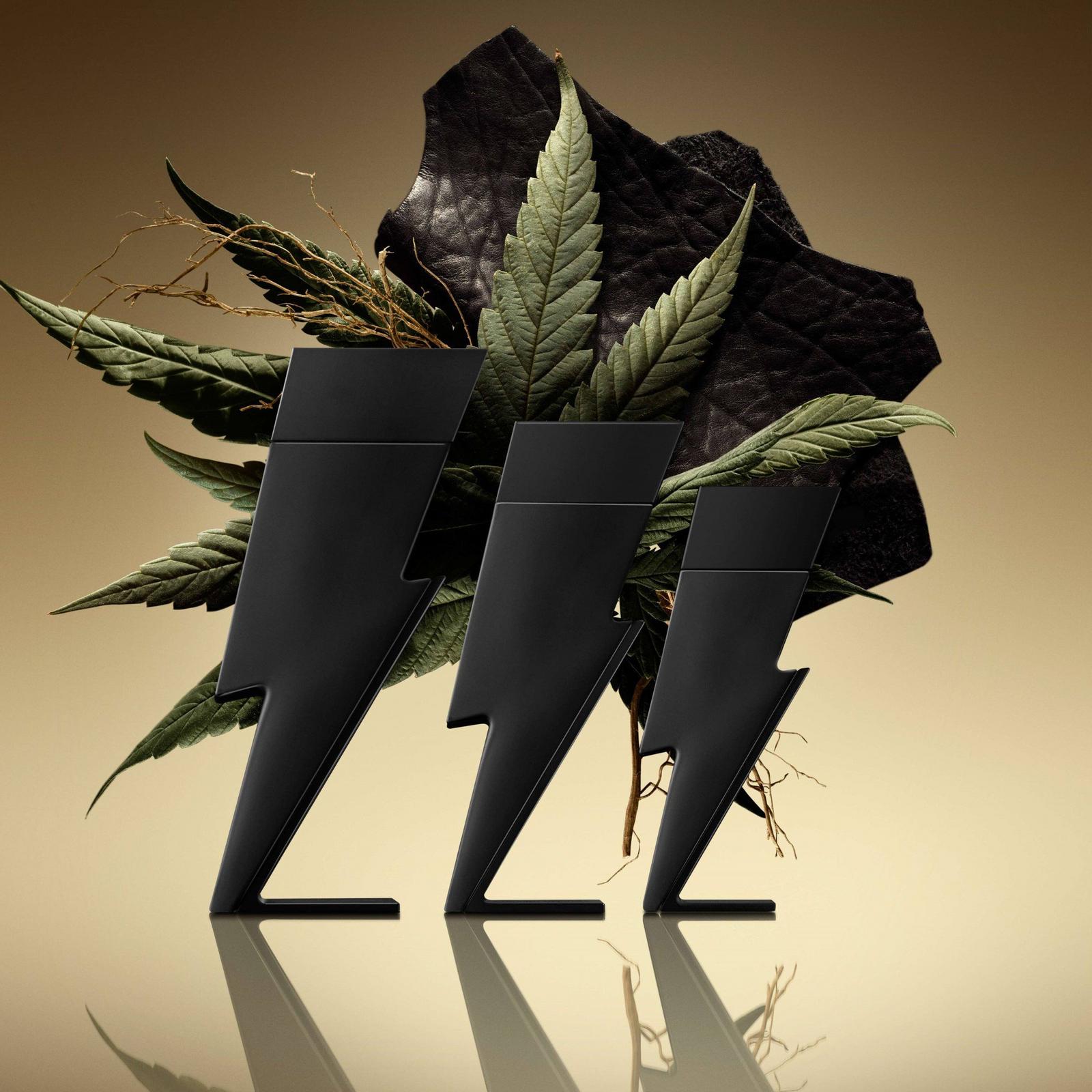 Bad Boy Le Parfum