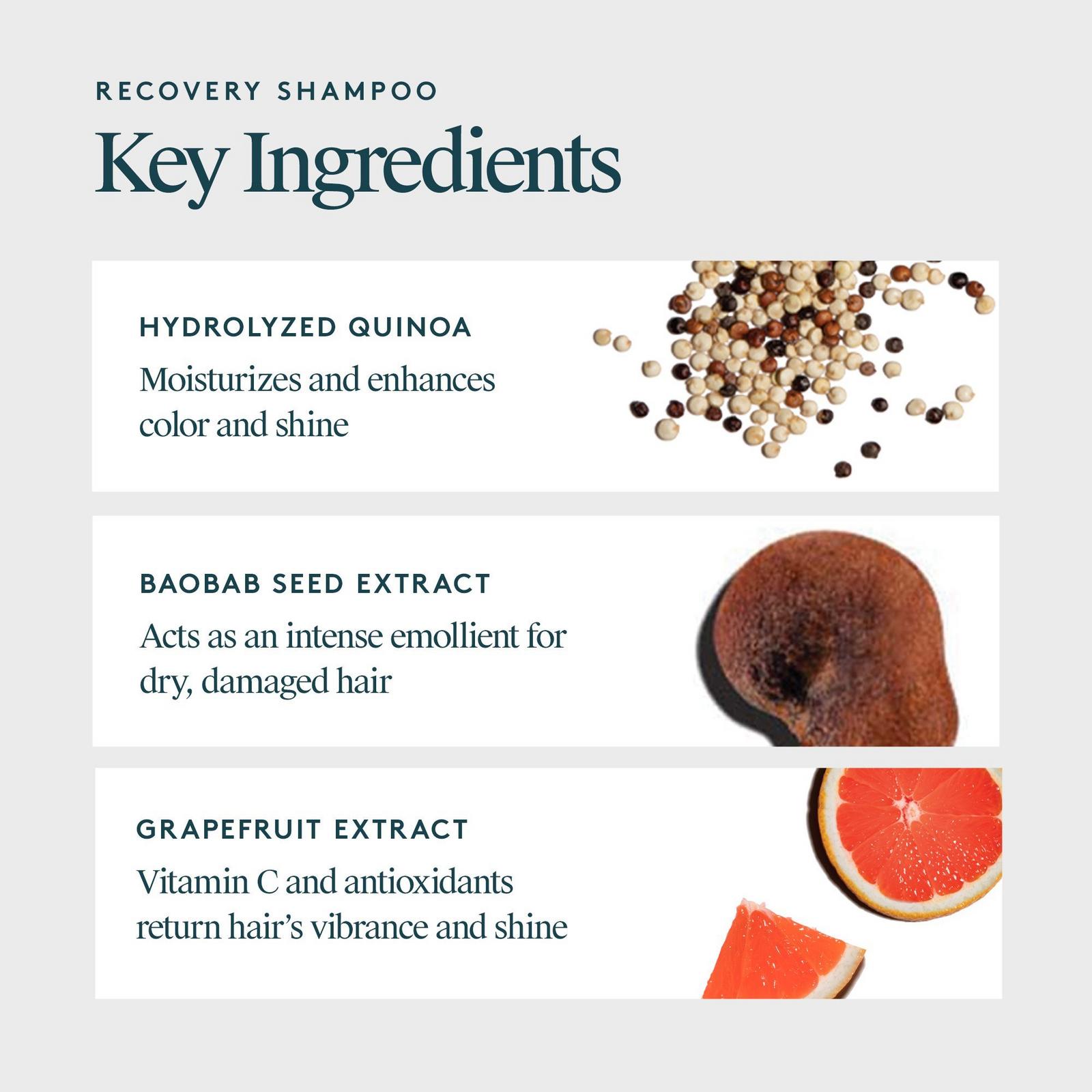 Hydrating Recovery Shampoo for Dry, Damaged & Colored Hair