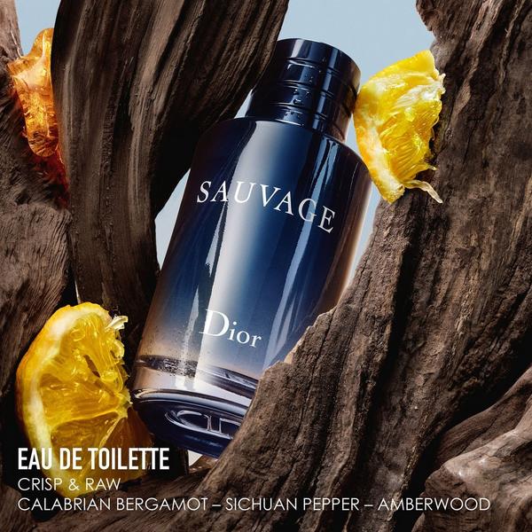 Sauvage Eau de Toilette 4