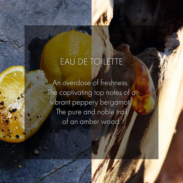 Sauvage Eau de Toilette 5