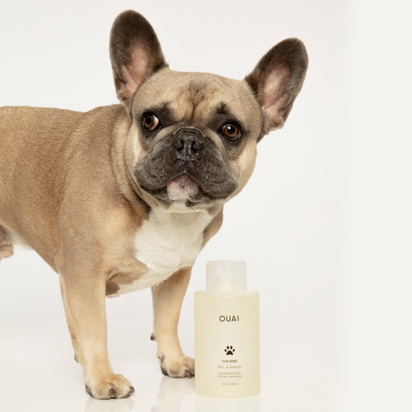 OUAI Fur Bébé Pet Shampoo #4