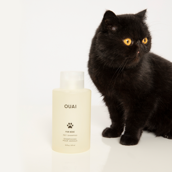 OUAI Fur Bébé Pet Shampoo #5