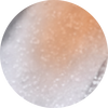 Doré
