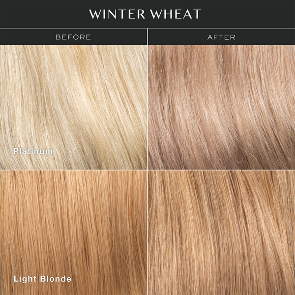 KRISTIN ESS HAIR Signature Hair Gloss #2