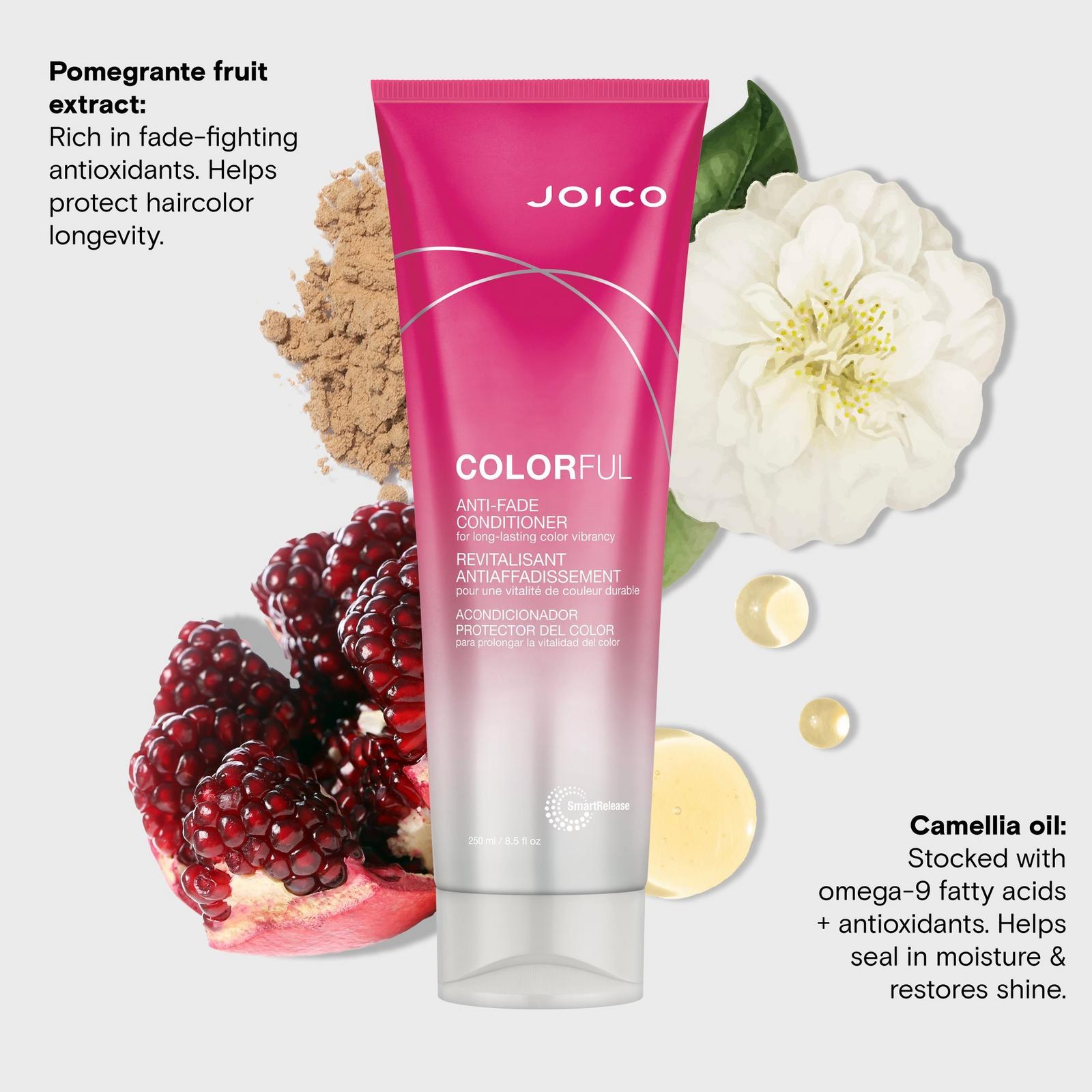 Colorful Anti-Fade Conditioner for Long-Lasting Color Vibrancy - 8.5 oz