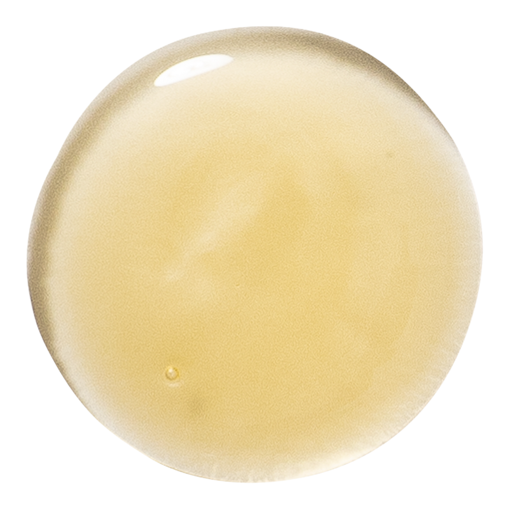 Klorane Nourishing Shampoo with Mango Butter 13.5 oz