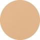 250 Bisque W Teint Idôle Ultra Wear Foundation Stick 