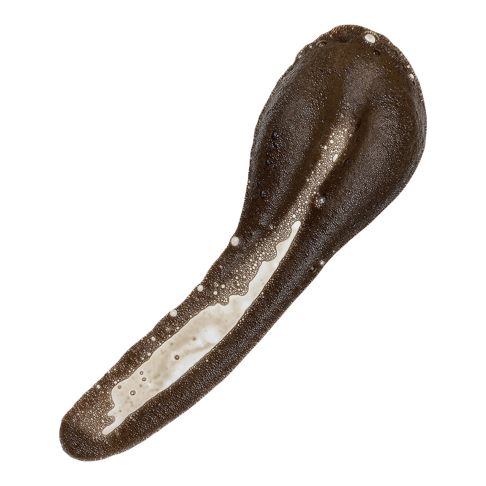 Forever + Ever Self Tan Mousse