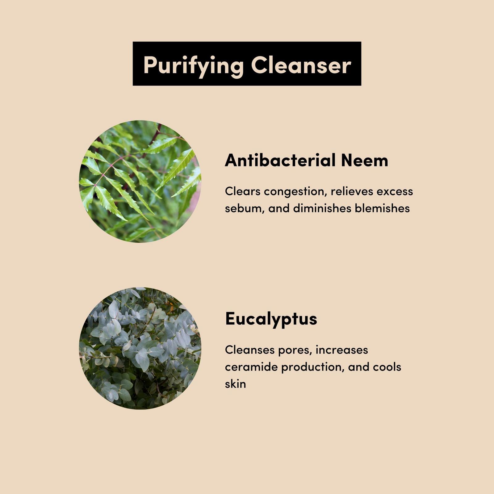 Organic Neem and Tea Tree Purifying Face Wash