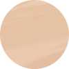 20N