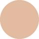 20N Light Neutral Amazonian Clay 16-Hour Full Coverage Foundation 