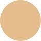 22G Light Golden Amazonian Clay 16-Hour Full Coverage Foundation 