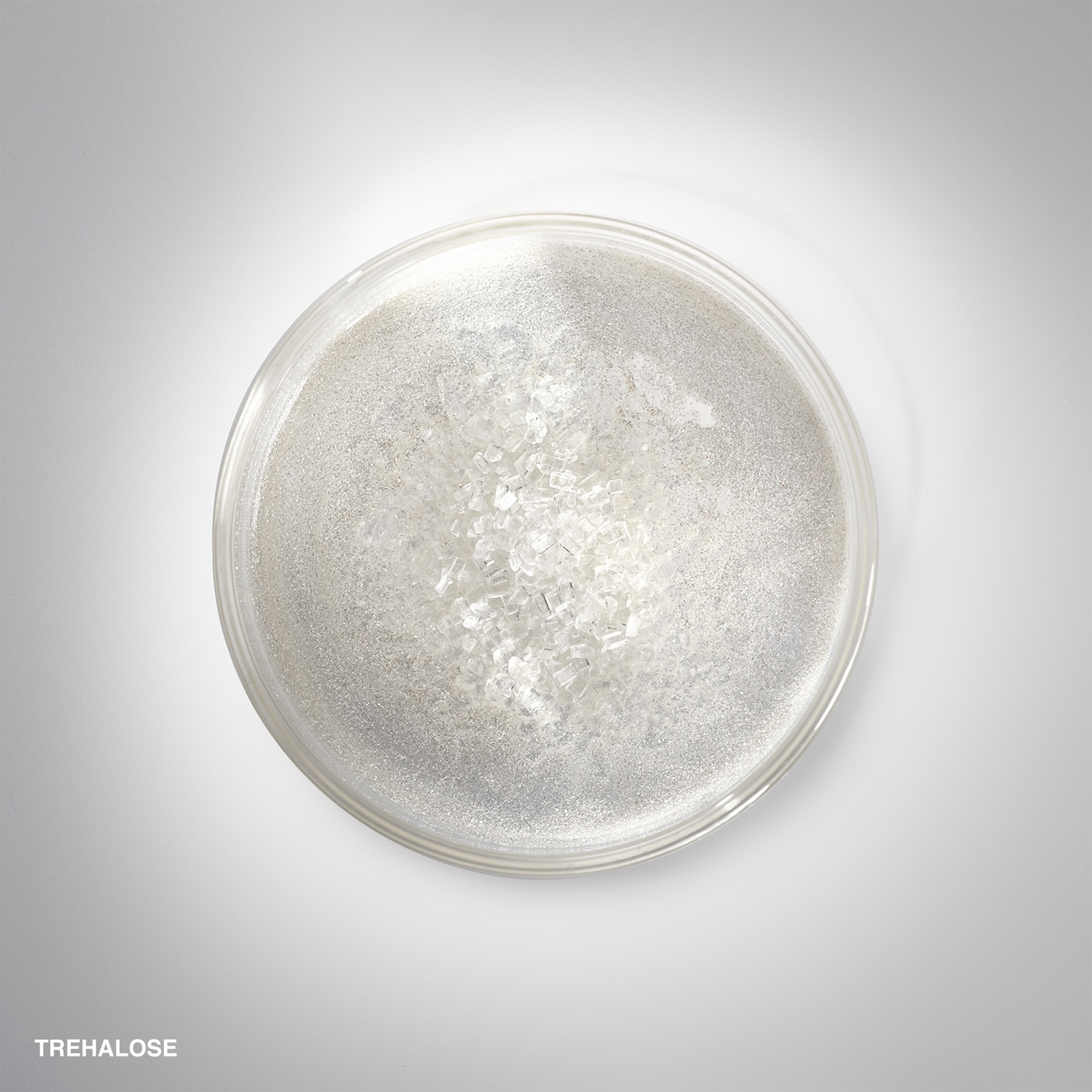 Hydrating Face Cream
