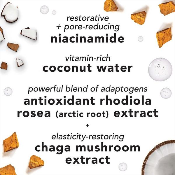 Mario Badescu Facial Spray with Aloe, Adaptogens and Coconut Water #6
