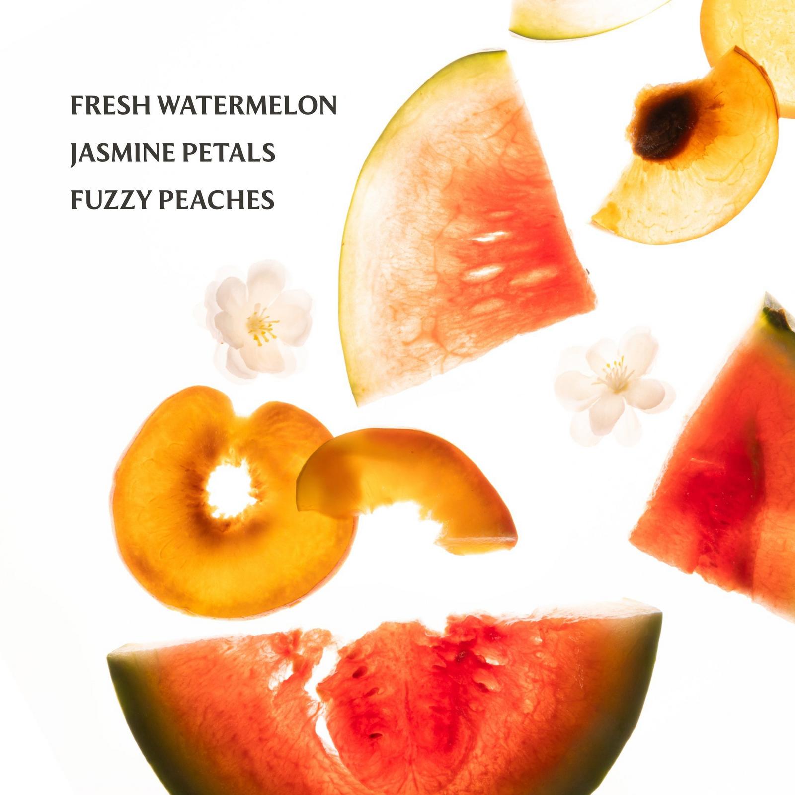 Power Mist Wild Watermelon Hydrating Hand Sanitizer