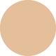 BD21 ULTRA LE TEINT Ultrawear All-Day Comfort Flawless Finish Foundation 