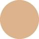 BD31 ULTRA LE TEINT Ultrawear All-Day Comfort Flawless Finish Foundation 