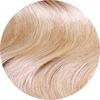 Champagne Blonde