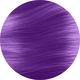 Purpledacious 3-in-1 Color Depositing Shampoo + Conditioner 
