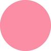 Racing For Pinks