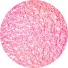 Pixel Dust