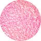 Pixel Dust Nail Lacquer Nail Polish, Pinks 