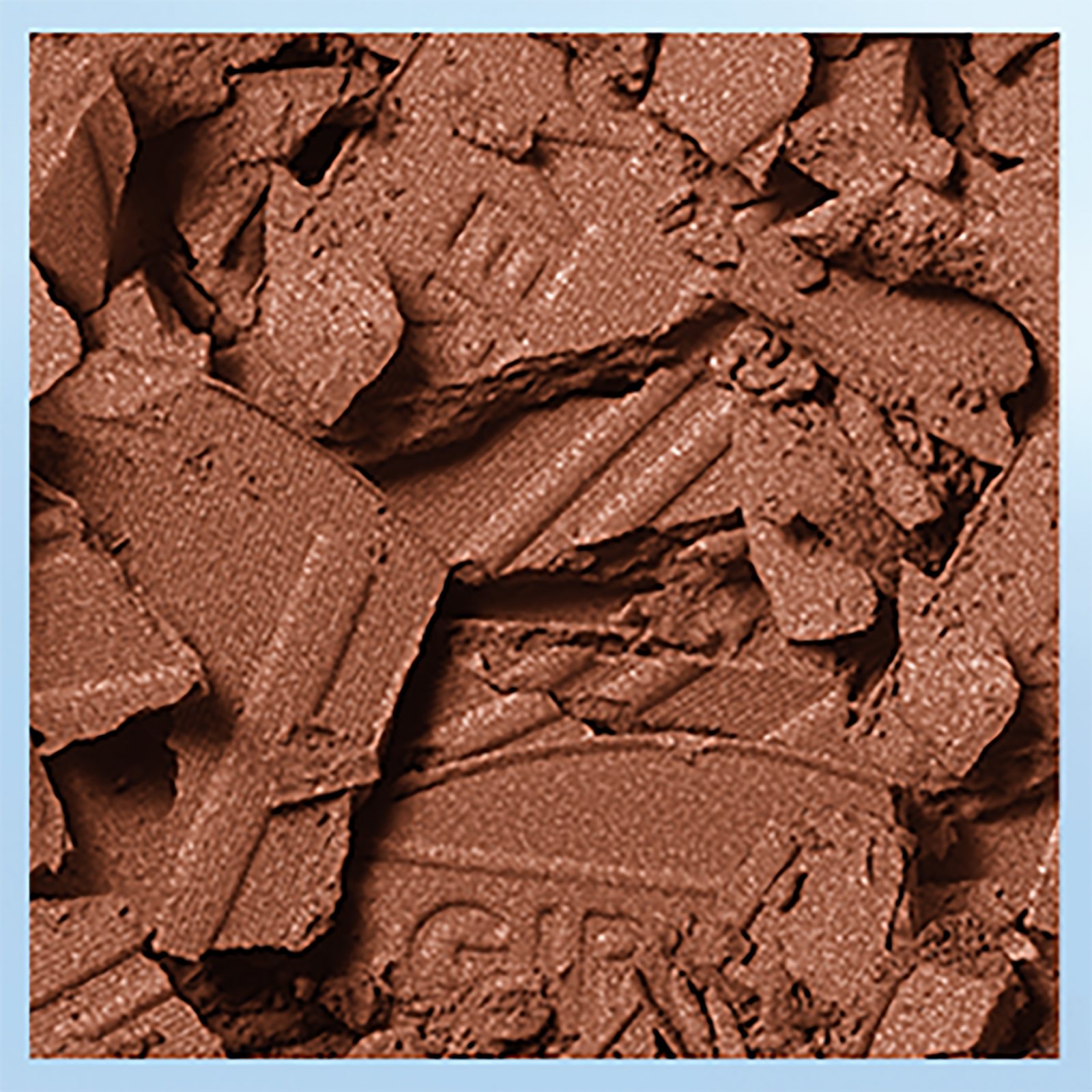 TruBlend So Flushed High Pigment Bronzer