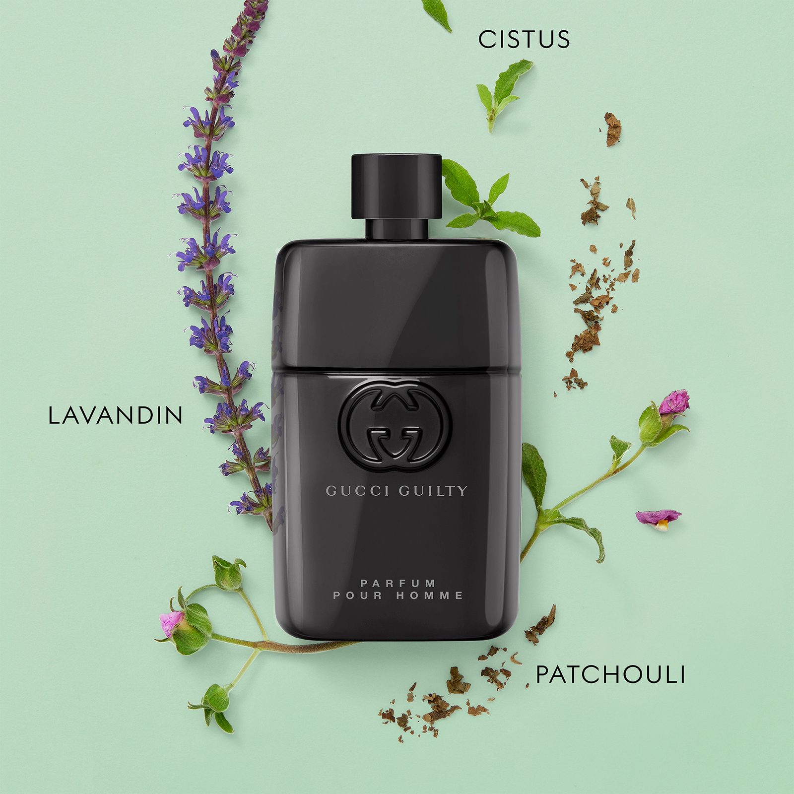 Guilty Parfum Pour Homme