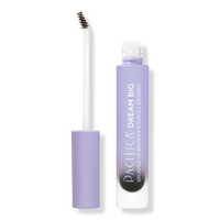 Dream Big Brushed Up Brows