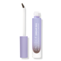 Dream Big Brushed Up Brows