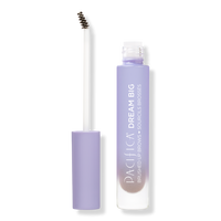 Dream Big Brushed Up Brows