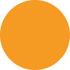 05 Apricot