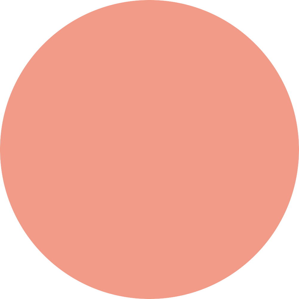 Shellie Warm-Seashell Pink Blush WANDERful World Silky-Soft Powder Blush 