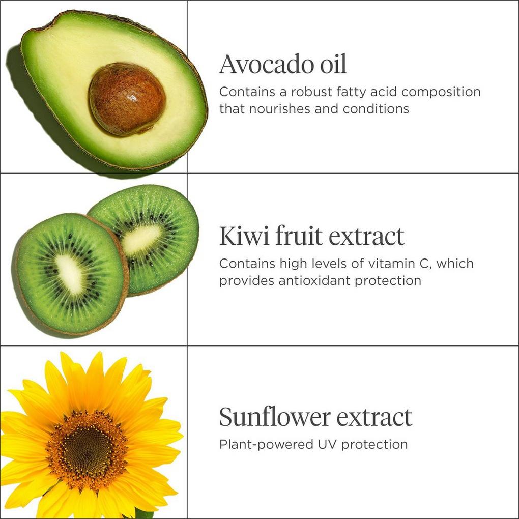 Organic Mega Kiwifruit