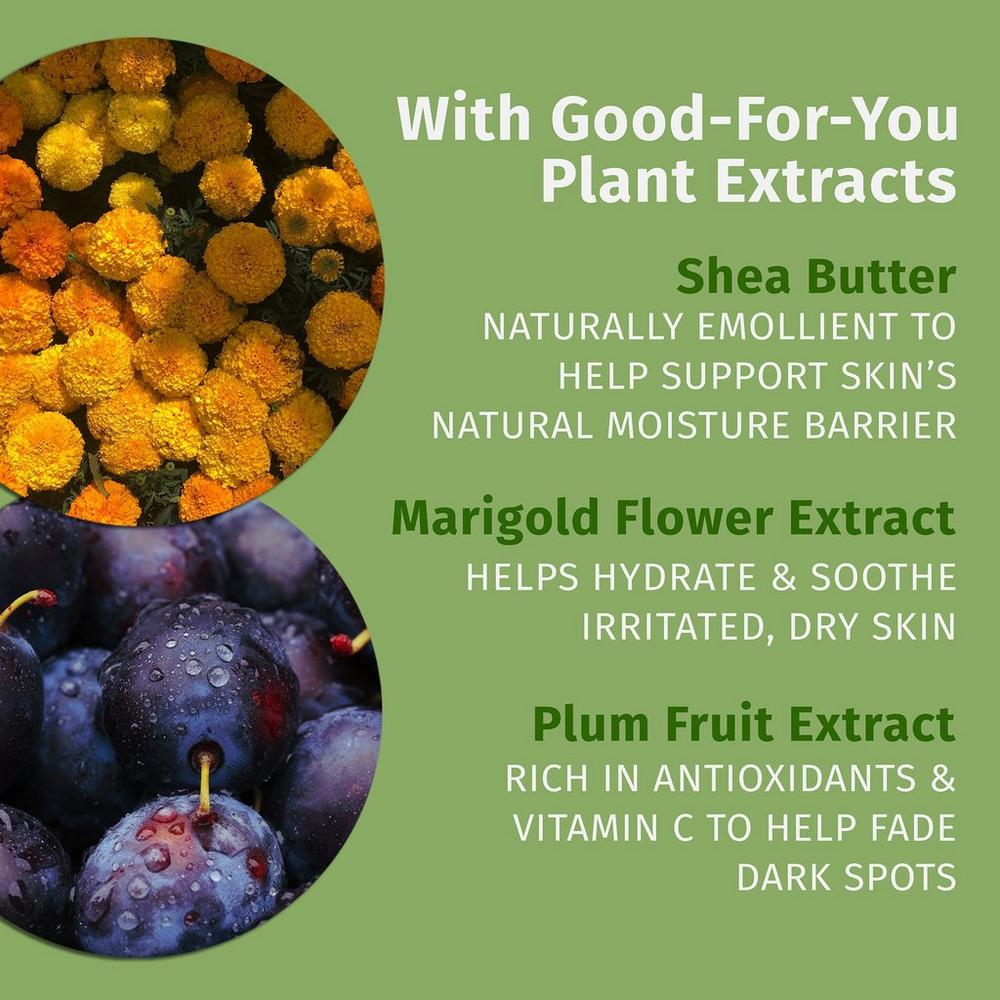 Limited Edition Vanilla Plum Herbal Body Moisturizer