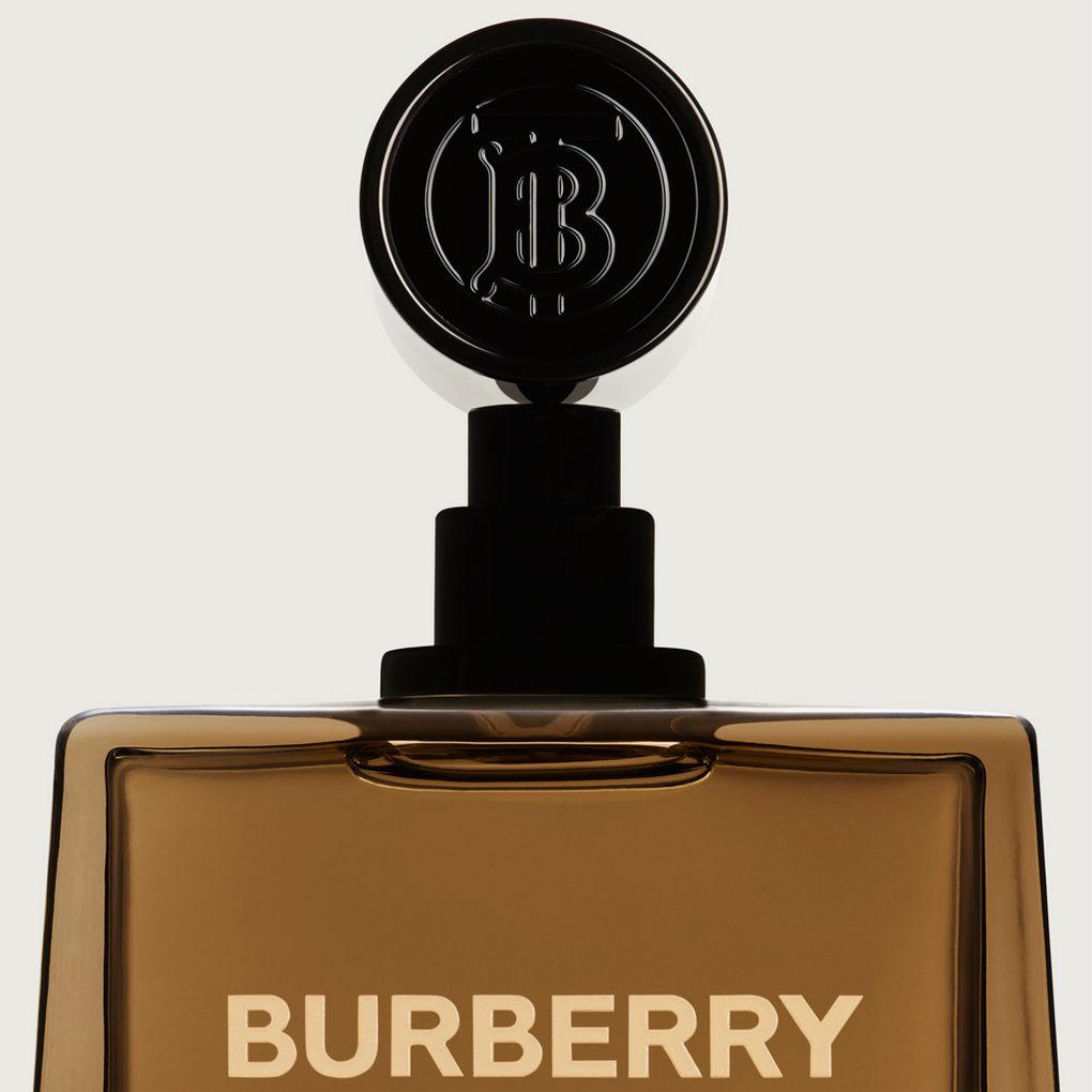 Burberry Hero Eau de Parfum 100ml - Men