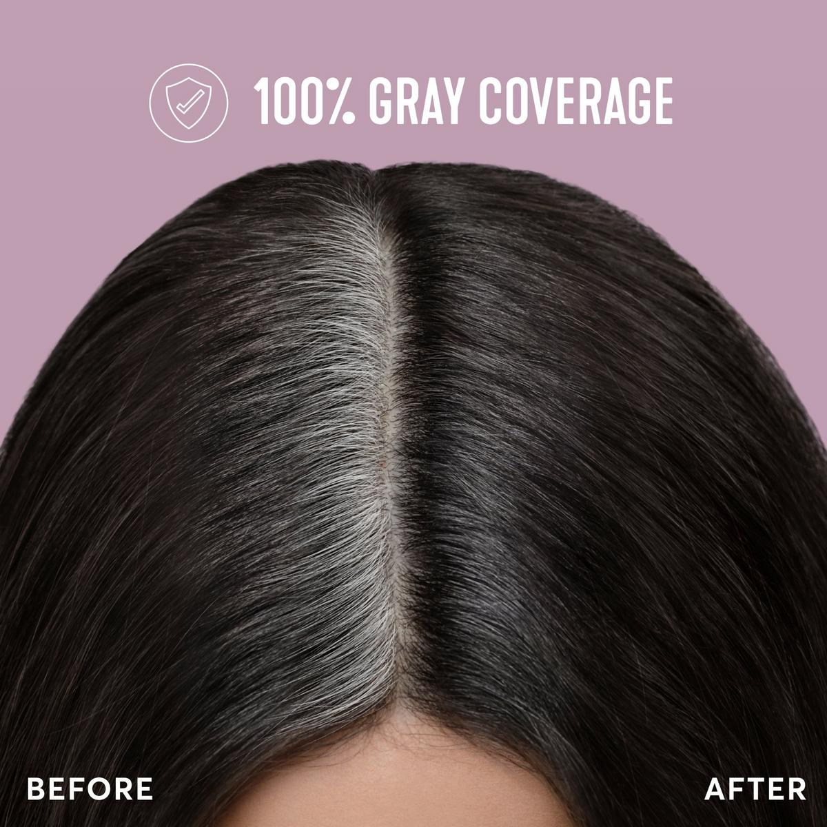 Root Perfection Root Touch Up Kit