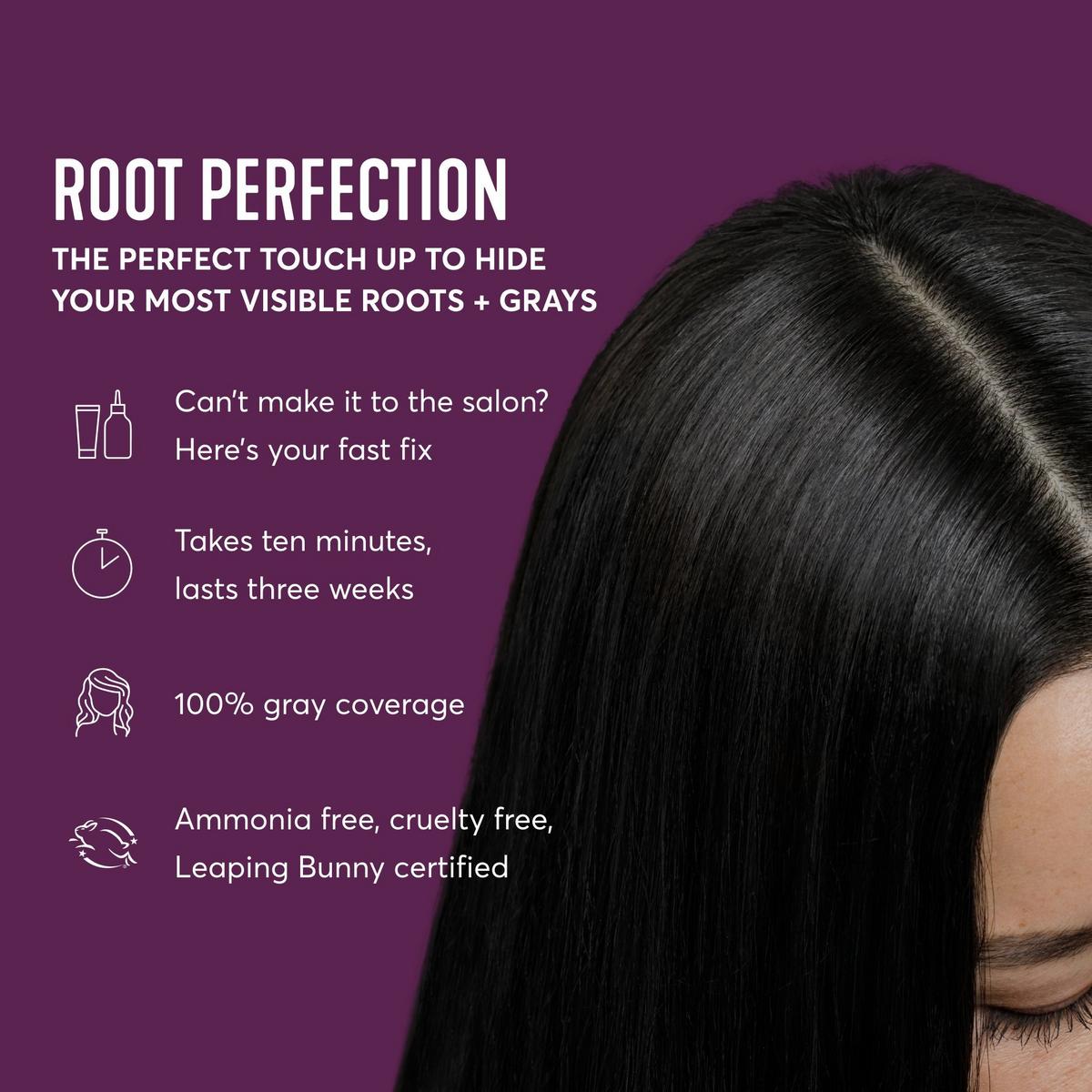 Root Perfection Root Touch Up Kit