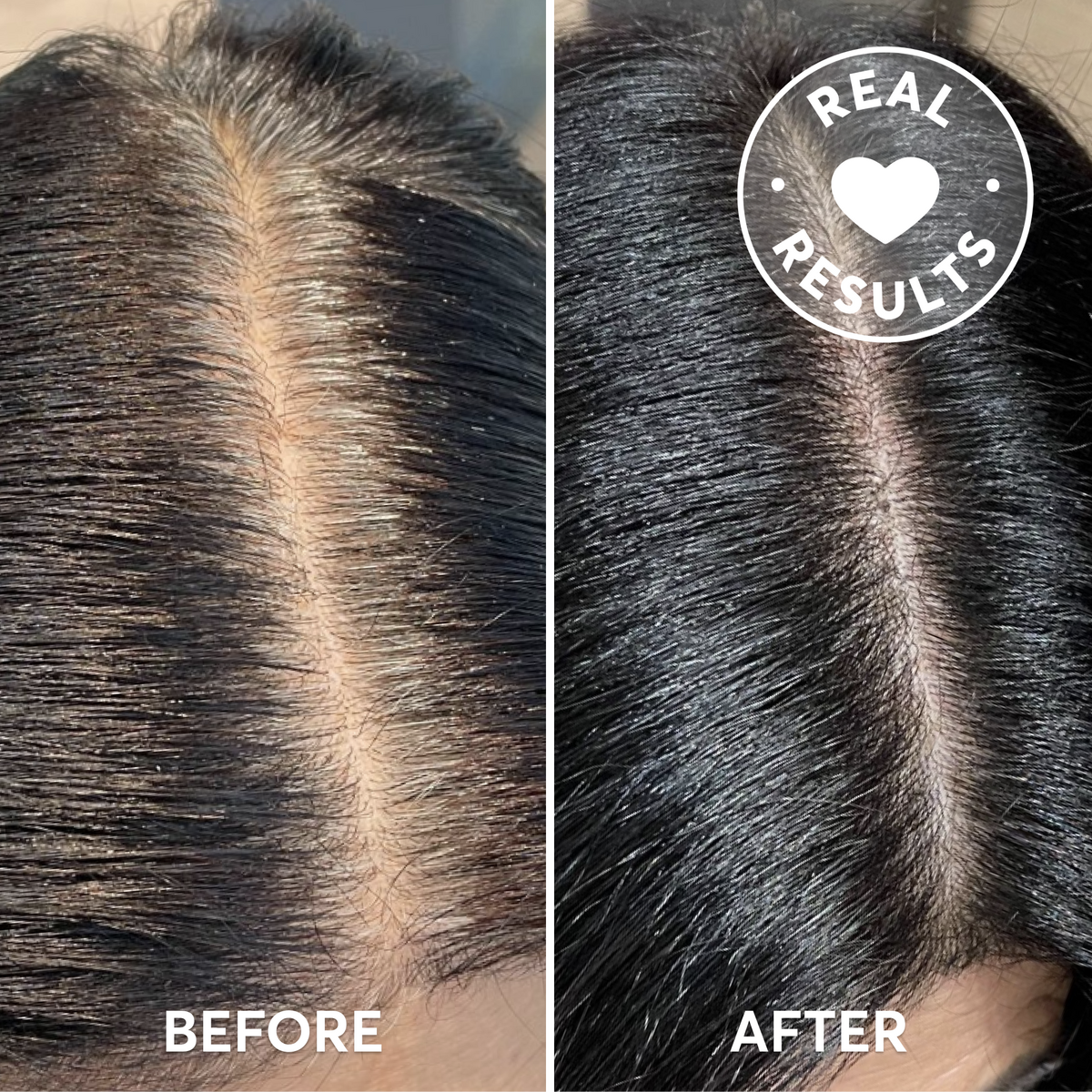 Root Perfection Root Touch Up Kit