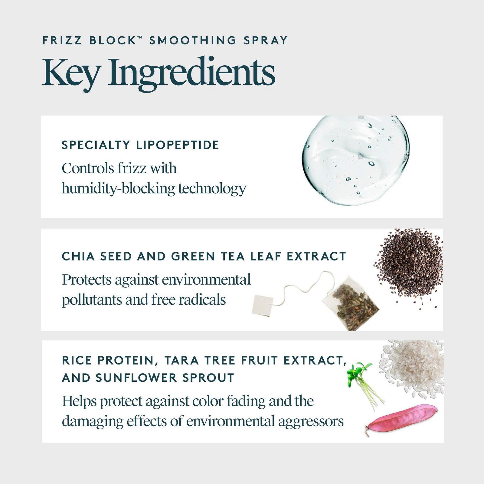 Frizz Block Humidity-Stopping Smoothing Spray for Frizz-Prone Hair