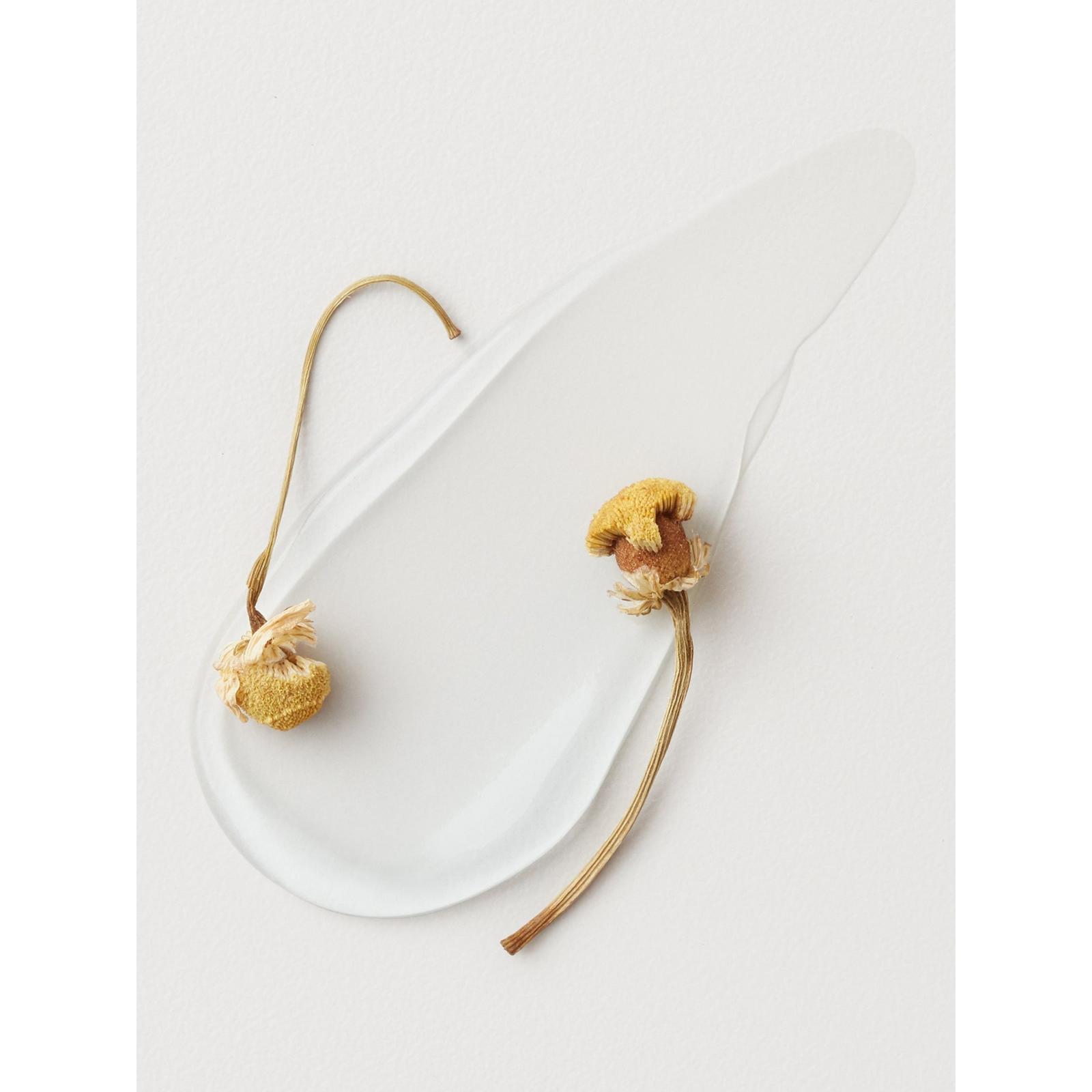 Conditioning Mist Detangling Spray