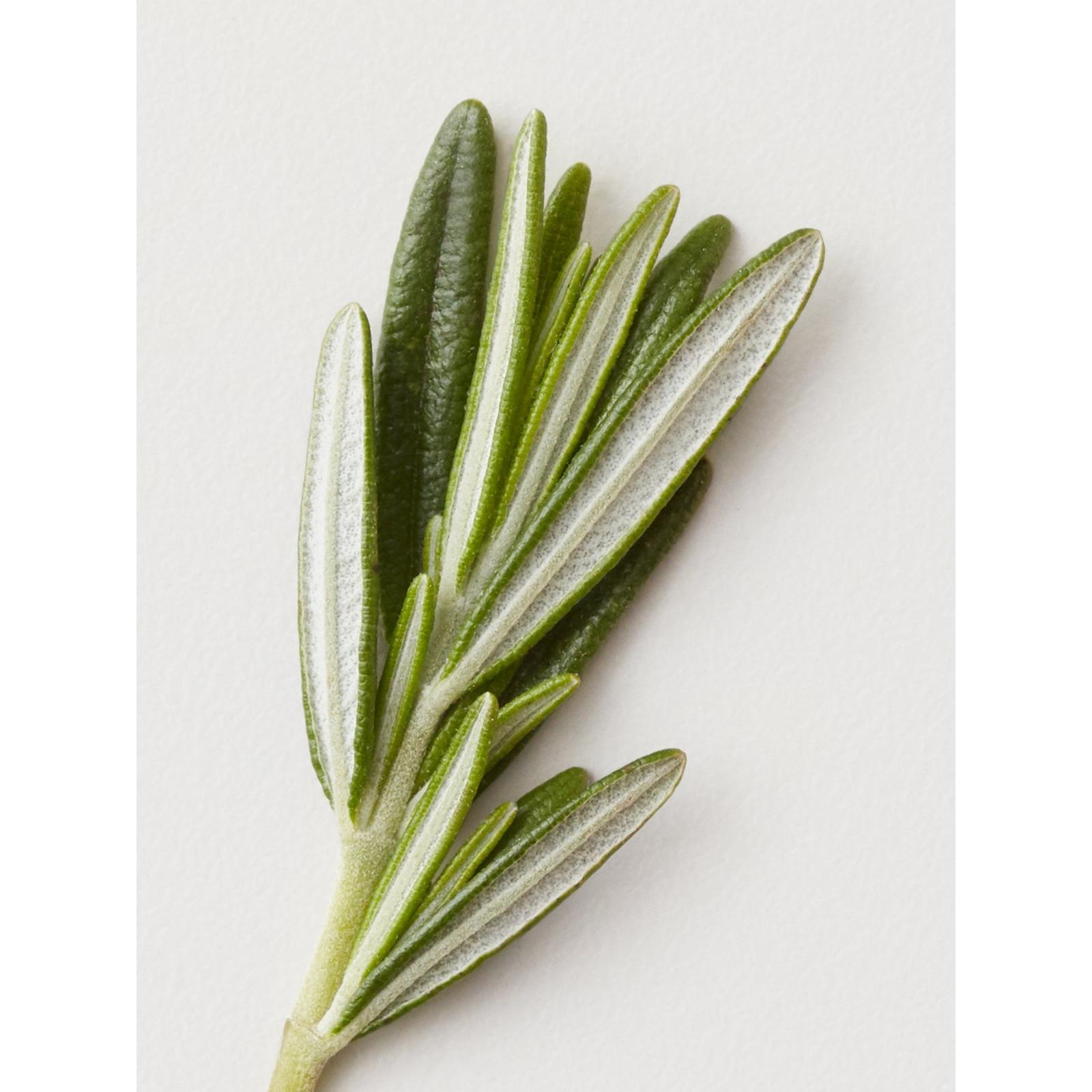 Conditioning Mist Detangling Spray