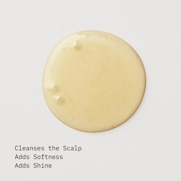 AG Care Balance Apple Cider Vinegar Sulfate-Free Shampoo #2