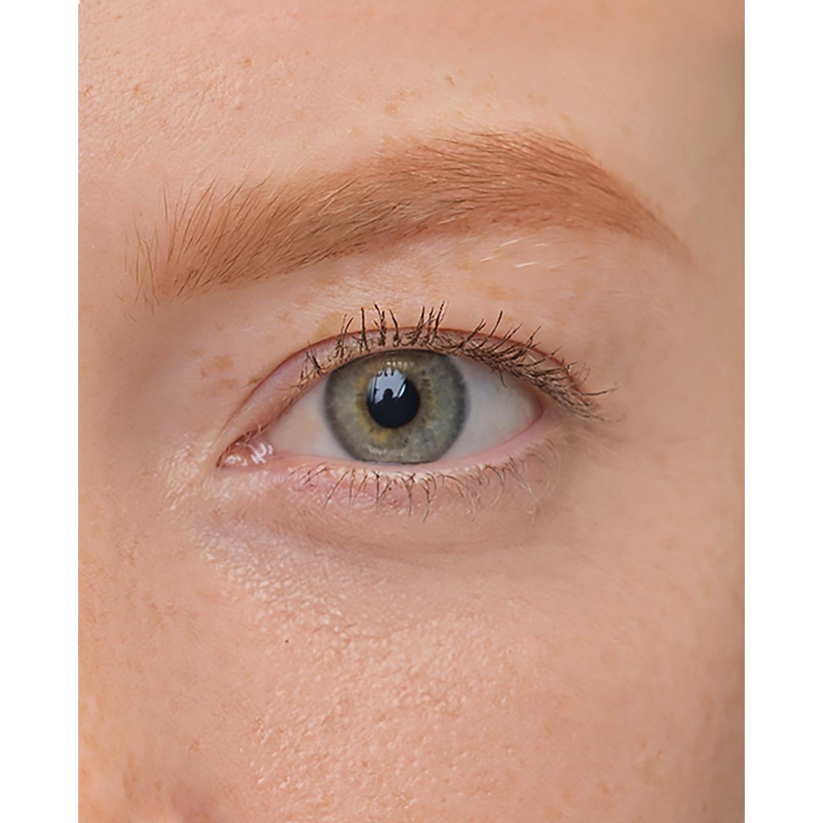 Brow Artist - Auburn