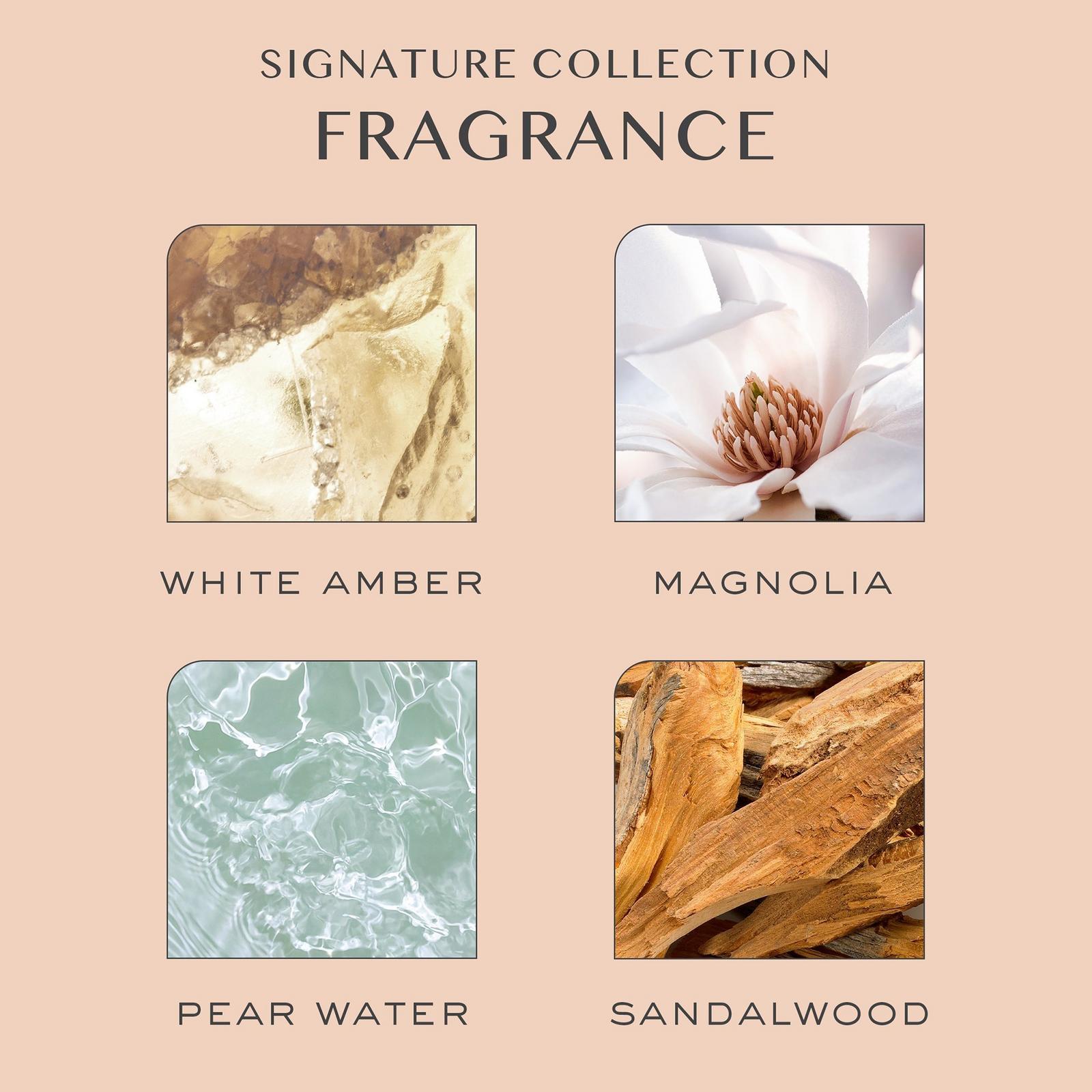 Travel Size One Signature Shampoo with Avocado Oil + Castor Oil