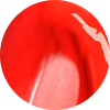 Koral Kiss