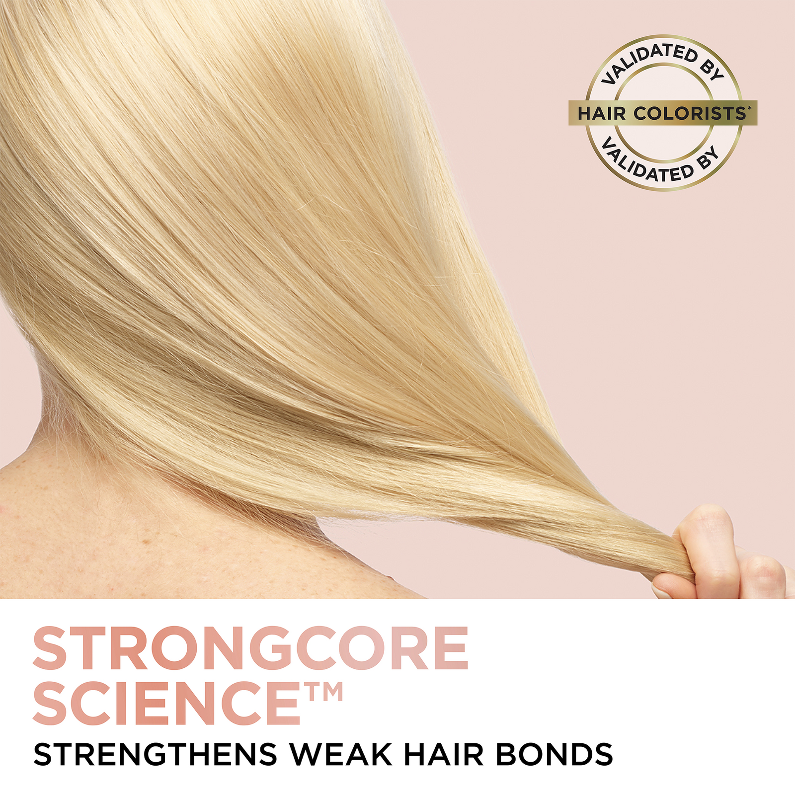 EverPure Sulfate-Free Bond Repair Kit