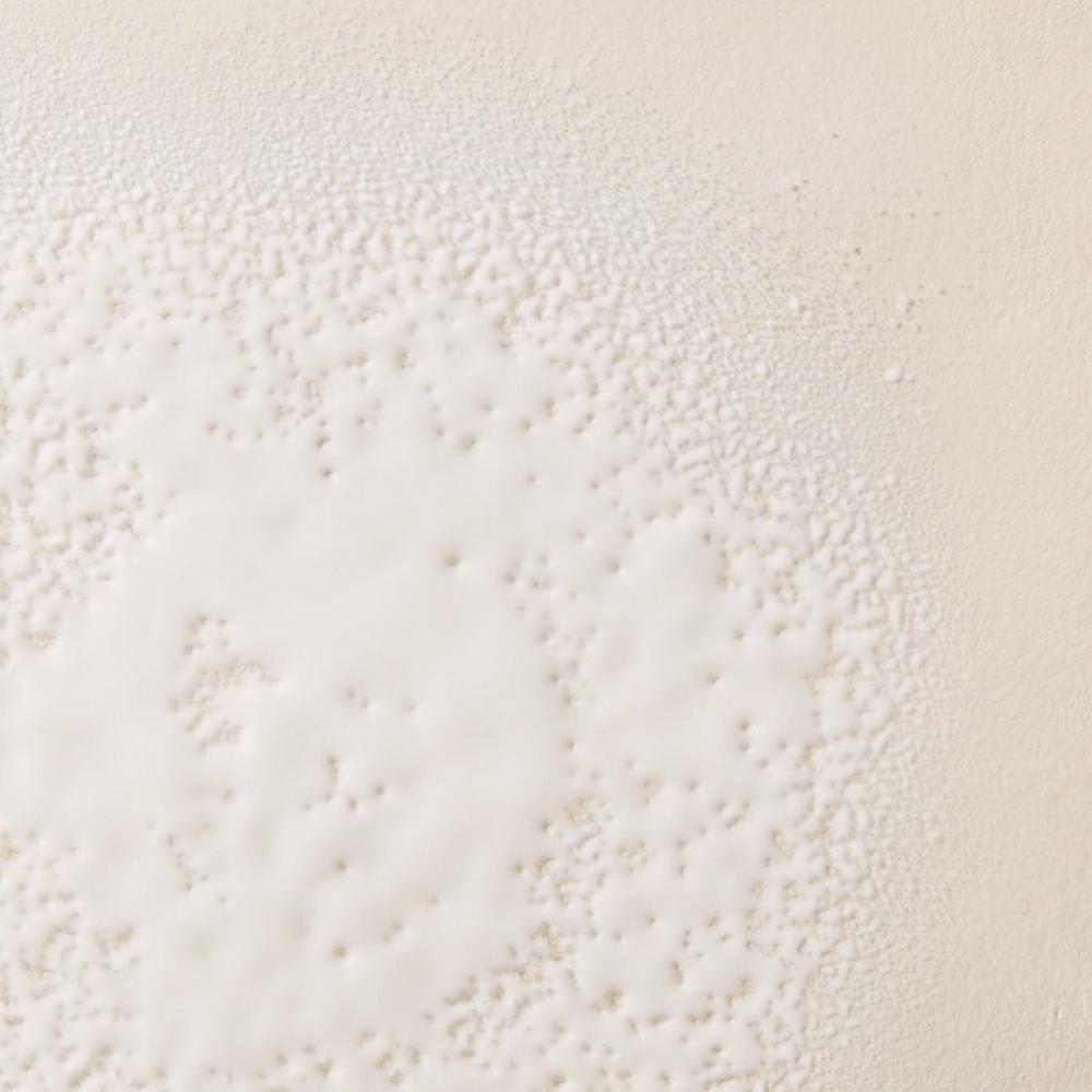 No Frizz Smooth Styling Spray for Fine Hair